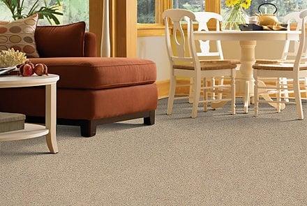 Carpet SALE: Get 50% off select carpets OR Get Free Padding and installation.