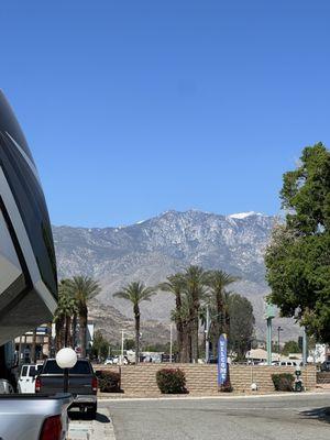 Encore Palm Springs Oasis