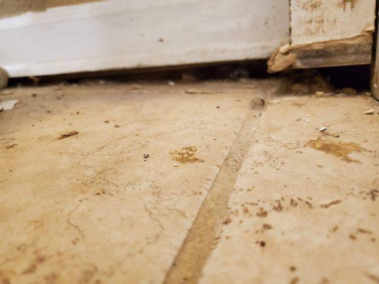 Bathroom floor and shower