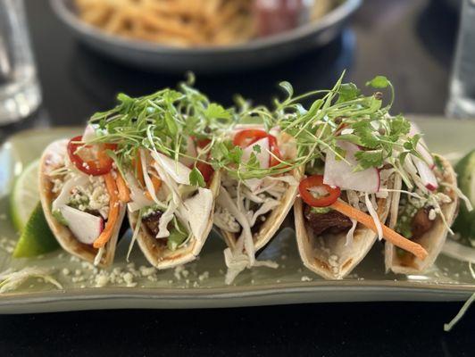 Pork belly tacos