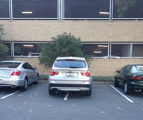 Don't do this in the parking lot. So inconsiderate!