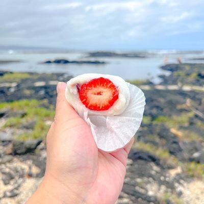 Fresh Strawberry/Red bean Mochi 3/22