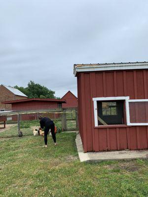 Oxon Hill Farm