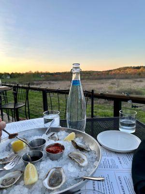 Oysters on the deck