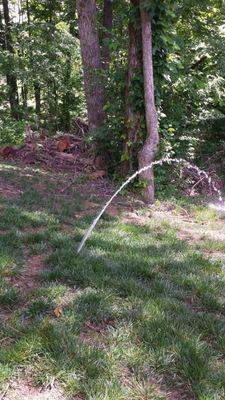 Again, not a fountain.  The end of the irrigation line spraying water into the woods.