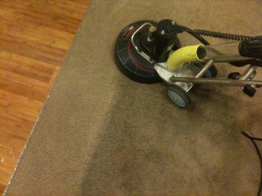 Steam carpet cleaning, residential.