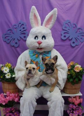 Pictures with the Easter Bunny to raise funds for a local rescue.  We also do pictures with Santa and Fall photos.