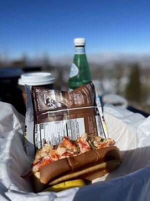 Connecticut Lobster Roll