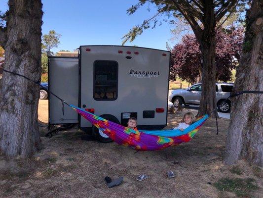 Travel hammock between trees at Spot 15.