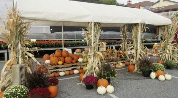 Yep, we have all shapes and sized of gourds - stackable too : }