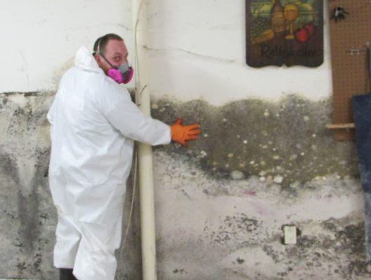 Mold Restoration