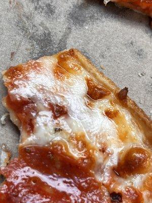 Bug in Pizza