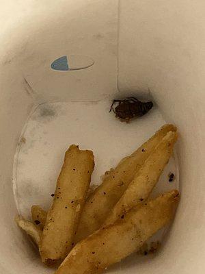 Dead beetle in fries