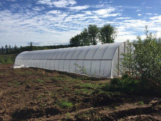 Hoop house installation.