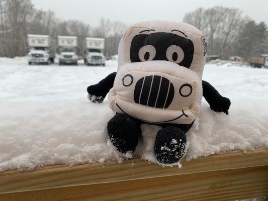 Truckie enjoying the winter wonderland at our office in Portland, Maine!