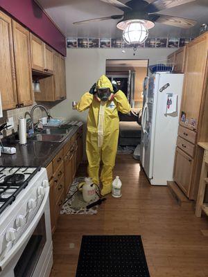 Proper PPE is used in mold remediations: gloves, suit, booties, respirators.