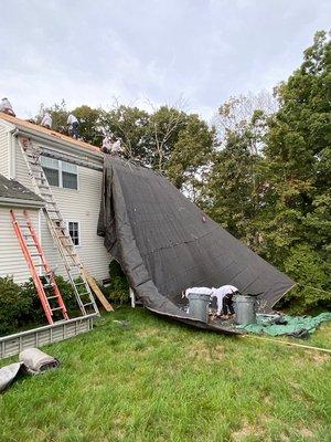 Protection from falling debris is very important. We take extreme caution not to harm your landscaping and your home.