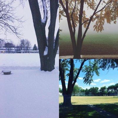 Winter, Autumn, Summer