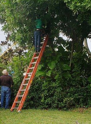 Intrusive Trespassers from Century Link