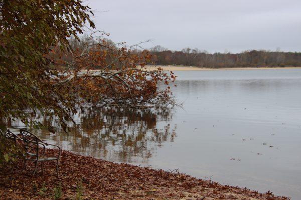 Looking towards the State Park