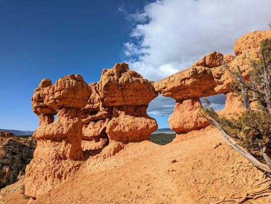 Dixie National Forest