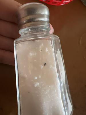 The most disgusting thing ever mice feces in the salt shaker