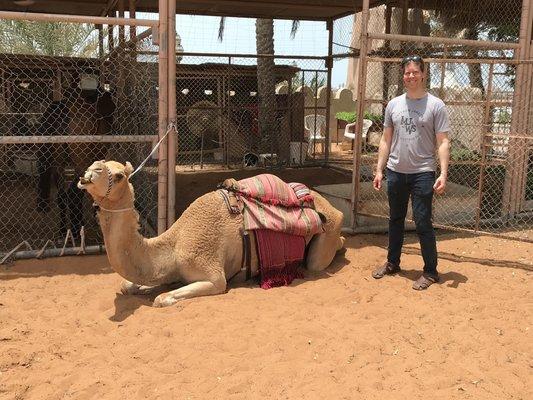 Behind my camel. Abu Dhabi, UAE.