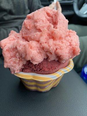 Sorbet: wild entry and strawberry