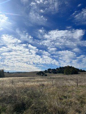 Santa Rosa Plateau Nature Education Foundation