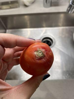 Moldy tomato