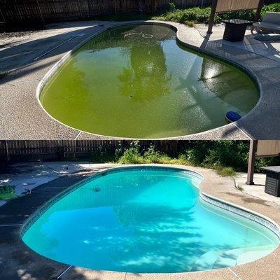 A pool we were able to get cleaned up WITHOUT draining the water.