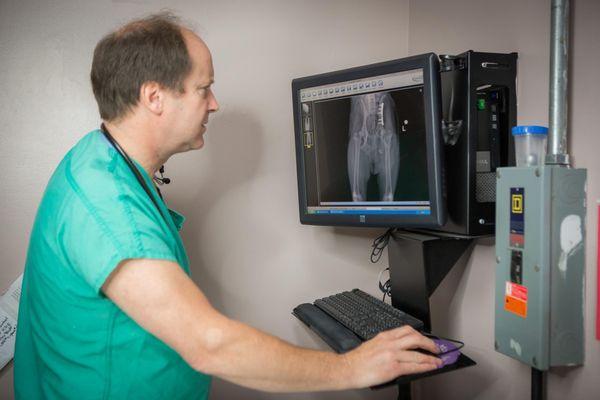 Dr. Schmidt takes a close look at a digital x-ray to make an accurate diagnosis.