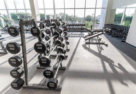 Arthrex Wellness Center Weight Equipment