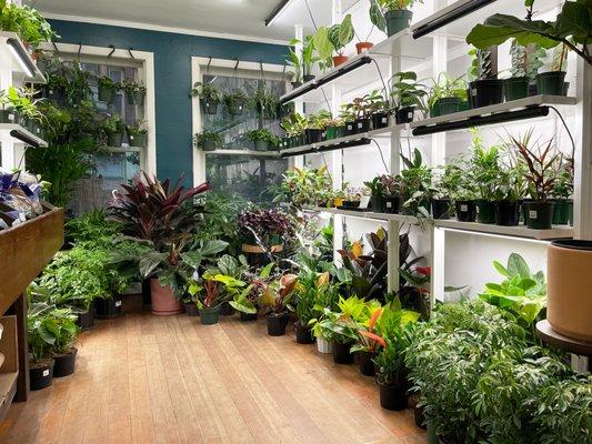 Our plant shelves packed with as much variety as we can hold! :)