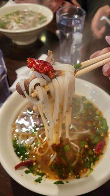 Spicy Beef Noodle Soup