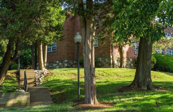 Lighted Tree Lined Walkways