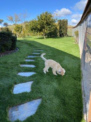 Central Coast Synthetic Turf