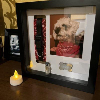 Shadow box with my dog's picture, collar, bandana, tag, and jar of fur with a small lit candle.