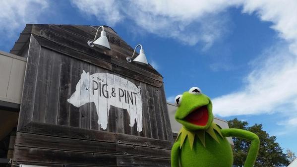 Even Kermit likes The Pig & Pint...