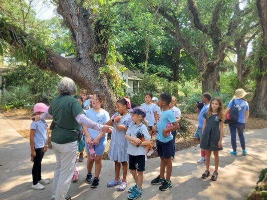 Field trip to Flamingo Gardens