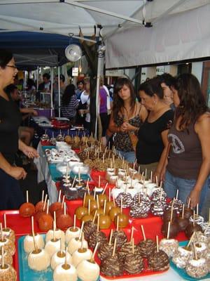 Many different variest of gourmet apples to choose from