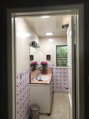 Purchased some SolaTubes and had J N Davis install them on the roof. They make a HUGE difference in the quality of light in my bathroom.