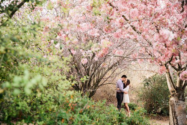 LA Arboretum Wedding Photography