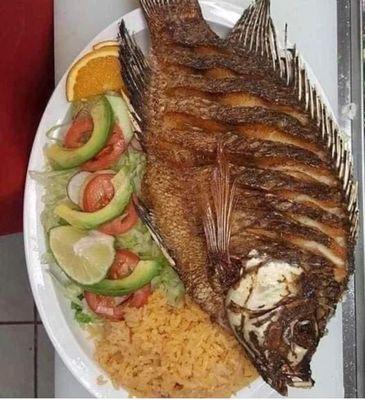 Delicious fried fish