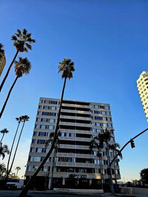 Over View of the Long Beach Tower Center