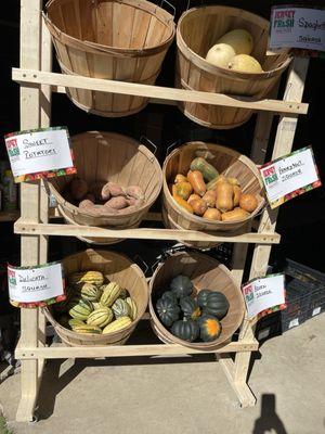 Winter squashes for sale!