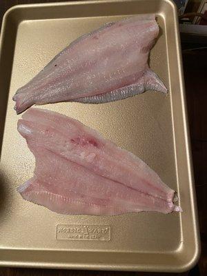 Flounder filets