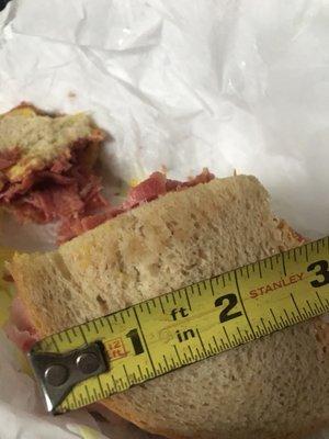 This is visibly not a standard, large sandwich!