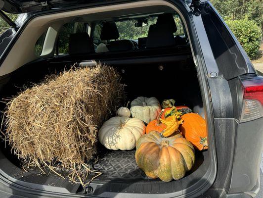 Hay for a pretty display!