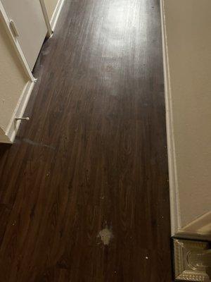 Footprints down hallway after not asking for permission to enter